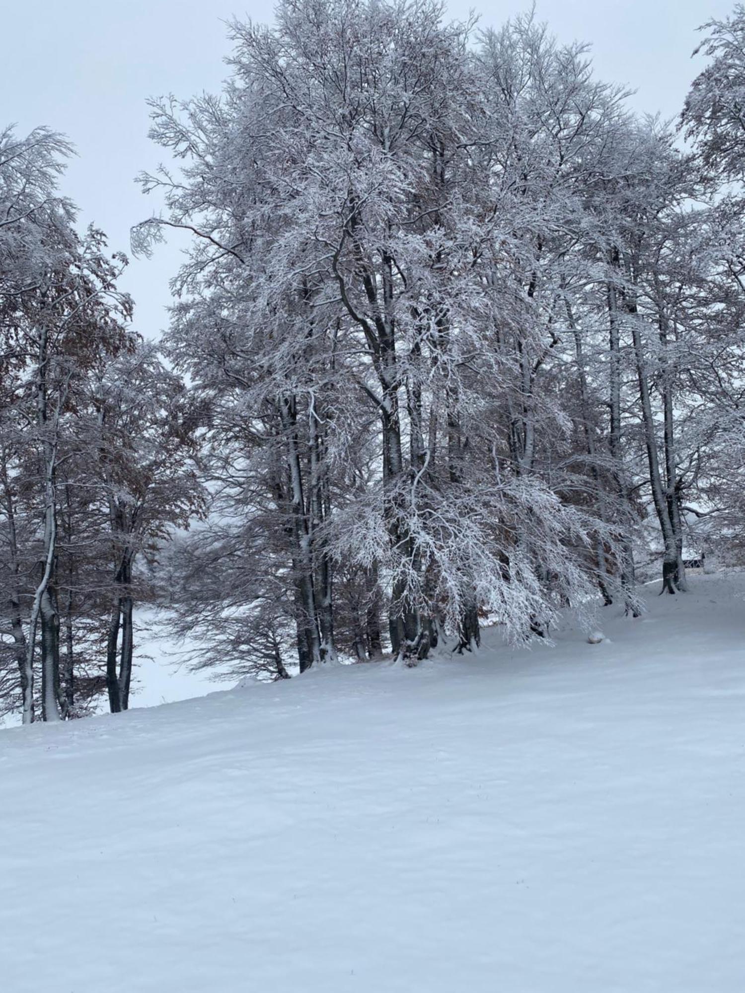 Vikendica Aleksandra Žabljak Exteriér fotografie